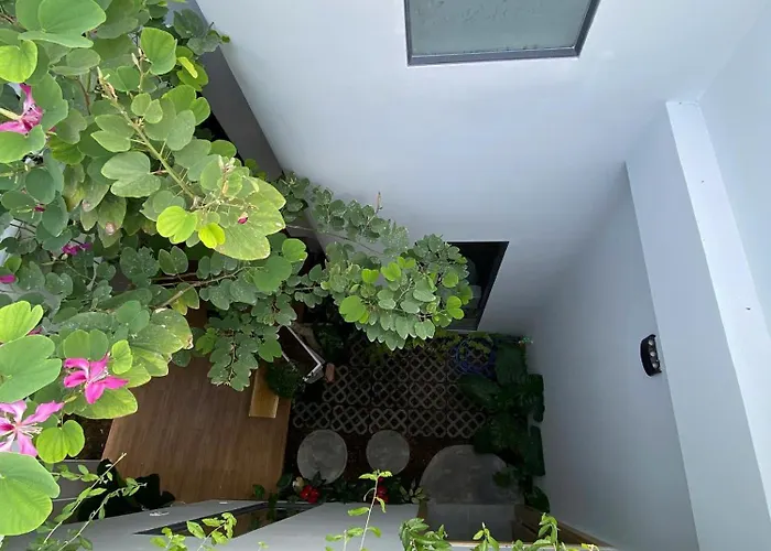 T House *