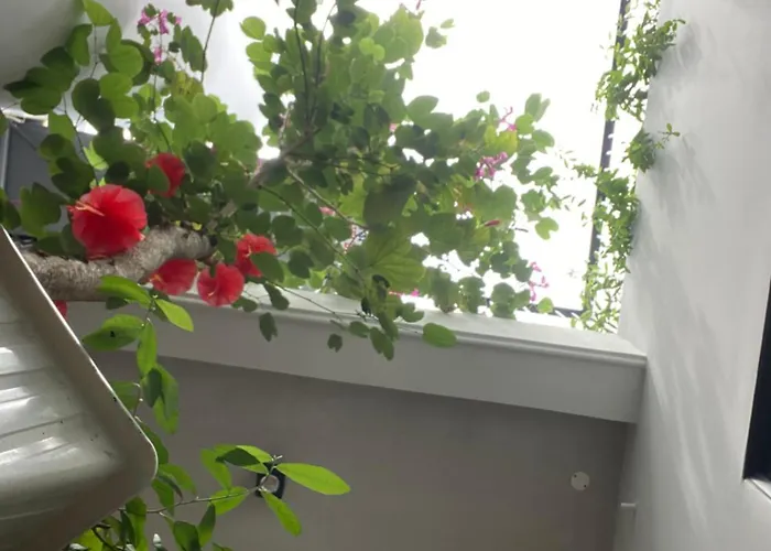 T House * Phan Thiết